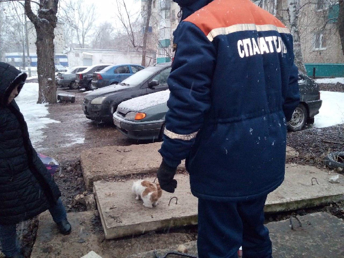 Спасатели достали из колодца котенка