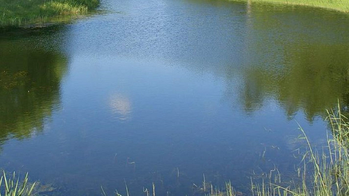Под Саратовом на глазах очевидцев утонул неизвестный мужчина