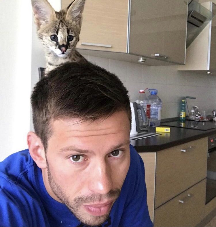 Фанаты нашли двух котиков на фотографии саратовского футболиста