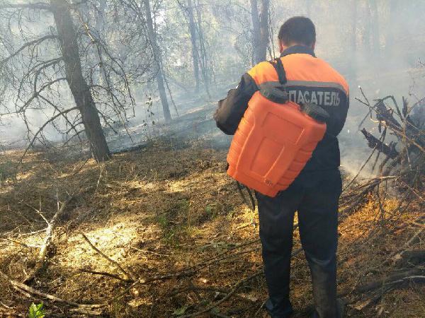 Саратовские спасатели помогали тушить горевший лес