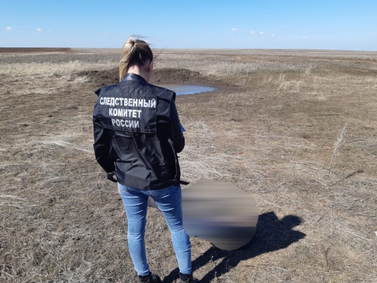Под Саратовом в поле нашли мертвую женщину