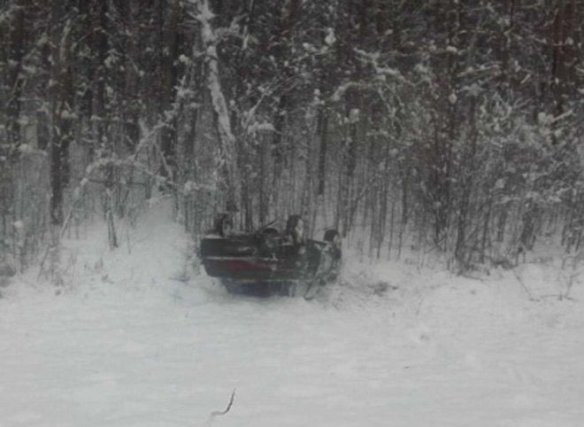 При столкновении «Лады» с деревом погиб водитель 