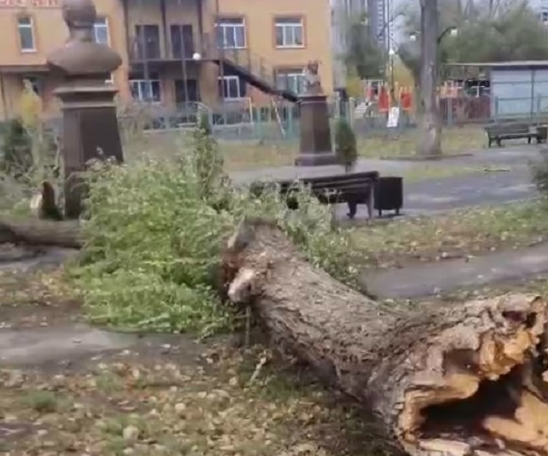 Деревья обрушились в двух скверах Энгельса 