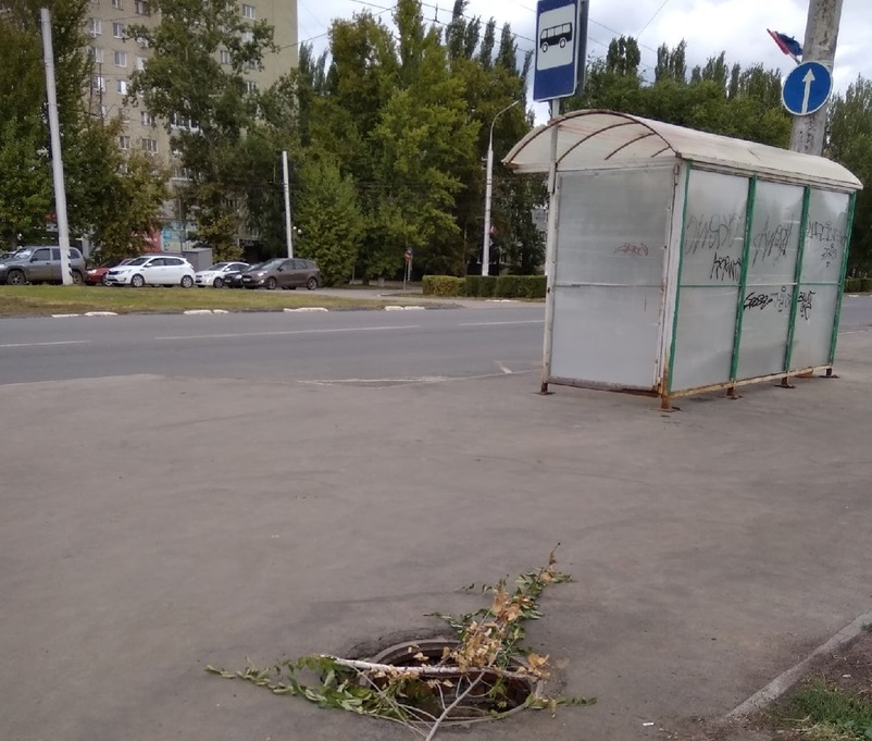 На тротуаре открытый люк саратовцы заложили ветками 