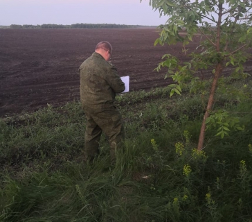 Тракторист раскопал в поле череп и кости человека