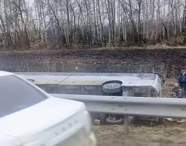 В Саратовской области в аварию попал автобус с детьми