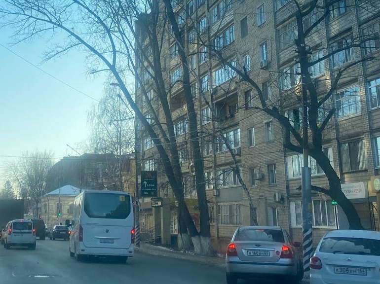 Жители Энгельса опасаются падения дерева на дорогу