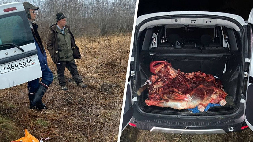 Депутат Госдумы Рашкин не смог обжаловать приговор за убийство лося