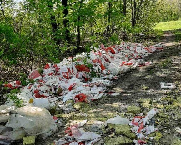 Жители Саратова устроили в лесу свалку мусора 