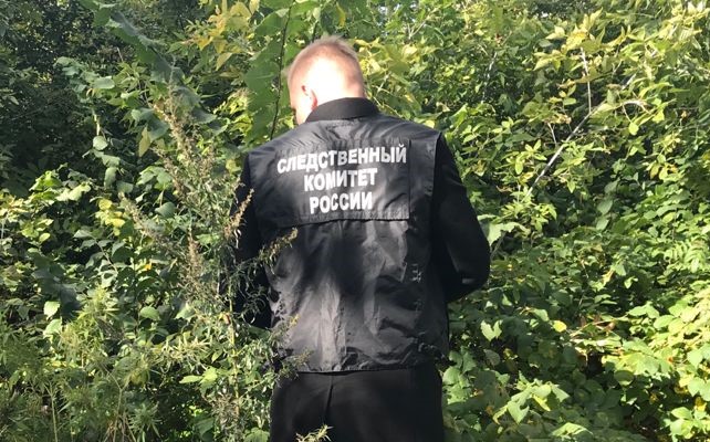 Грибники нашли в лесу под Саратовом мертвеца