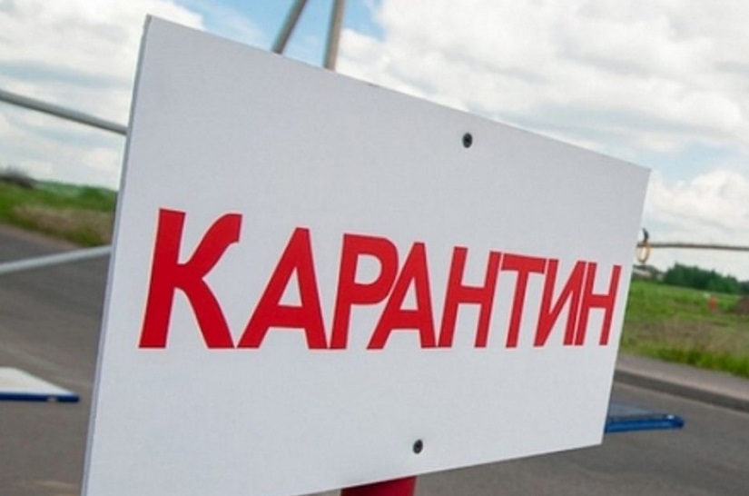 В селе под Саратовом могут снять карантин по коронавирусу