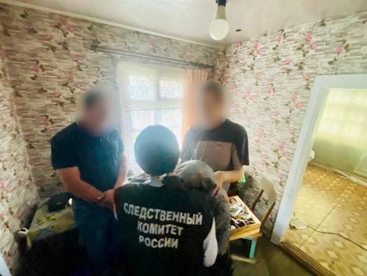Труп убитой сыном пенсионерки месяц лежал в доме под Саратовом