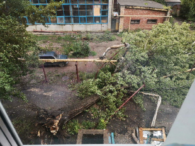 В Заводском районе рухнувшее дерево повредило теплотрассу 