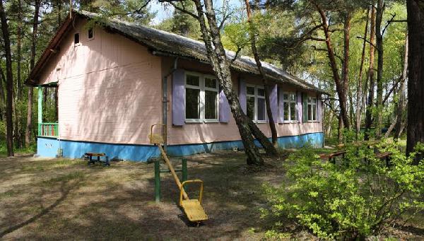 В лагере у школьницы похитили оставленный на зарядке телефон