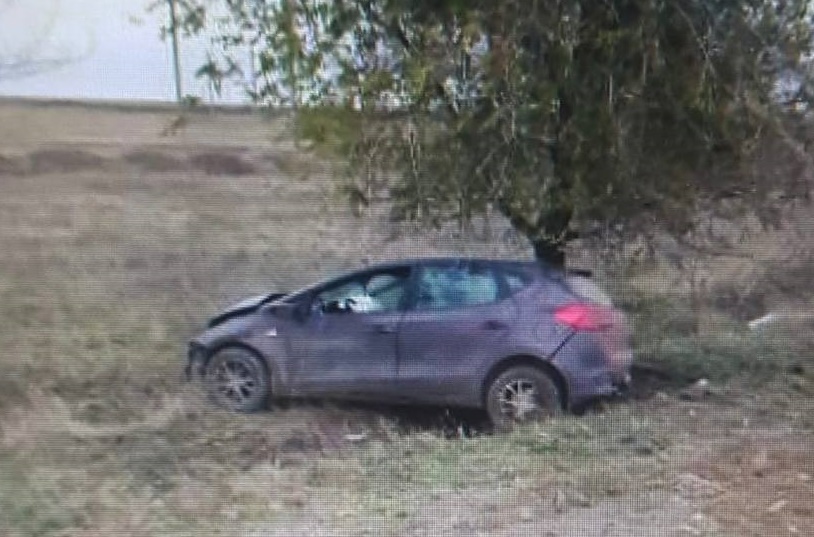 Мужчина покалечился при наезде иномарки на дерево