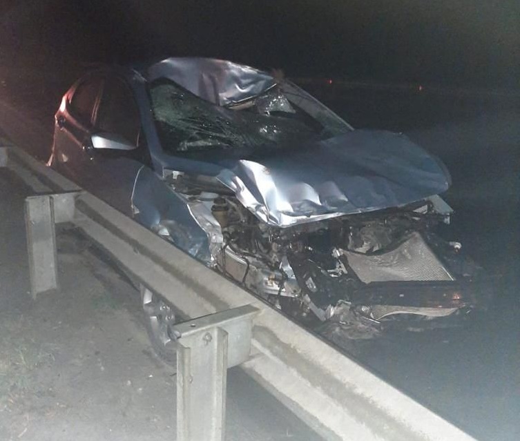 На трассе под Хвалынском водитель иномарки задавил лося