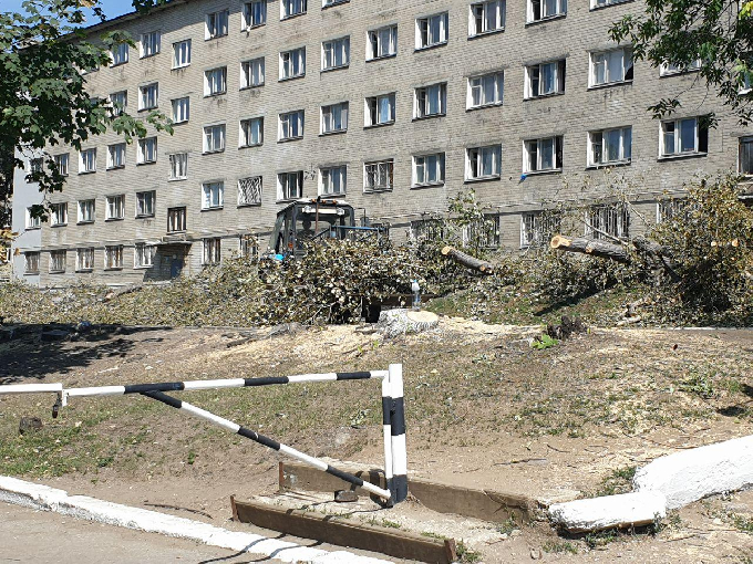 В Саратове готовят площадку под современный спорткомплекс в студгородке