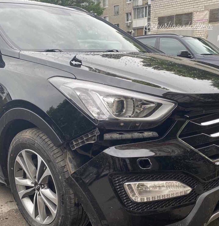 В Саратове стая собак оторвала бампер у автомобиля