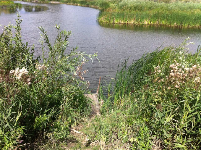 Сторож на берегу пруда расстрелял рыбака из ружья  