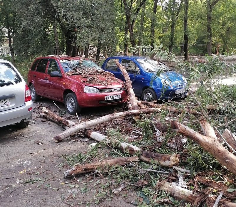 Огромный ствол дерева рухнул на дорогу рядом с машинами