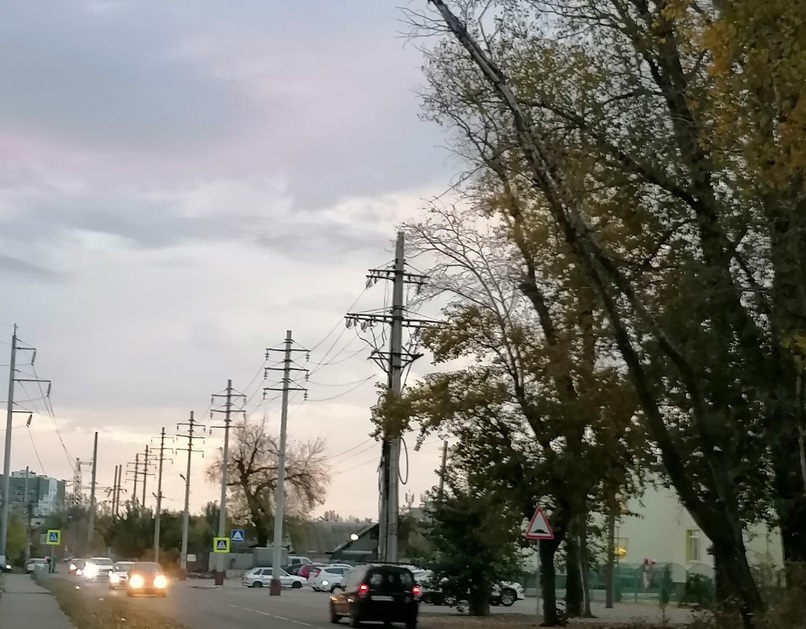 В Энгельсе деревья ветром повалило на провода
