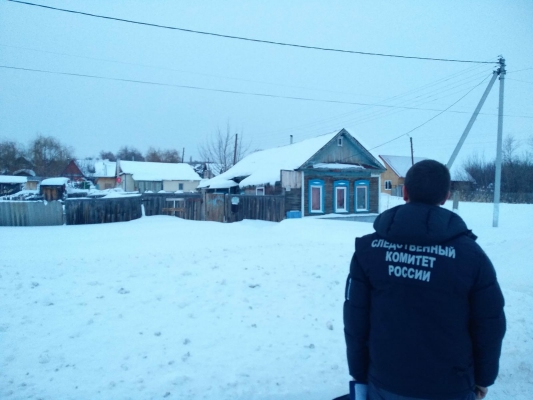 Саратовский пенсионер зарубил случайного гостя
