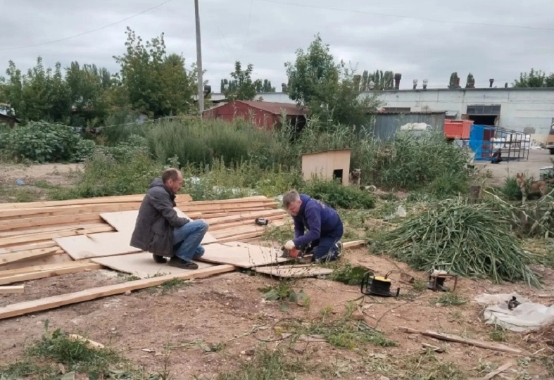 Саратовцы в свободное время строят будки спасенным с улицы собакам