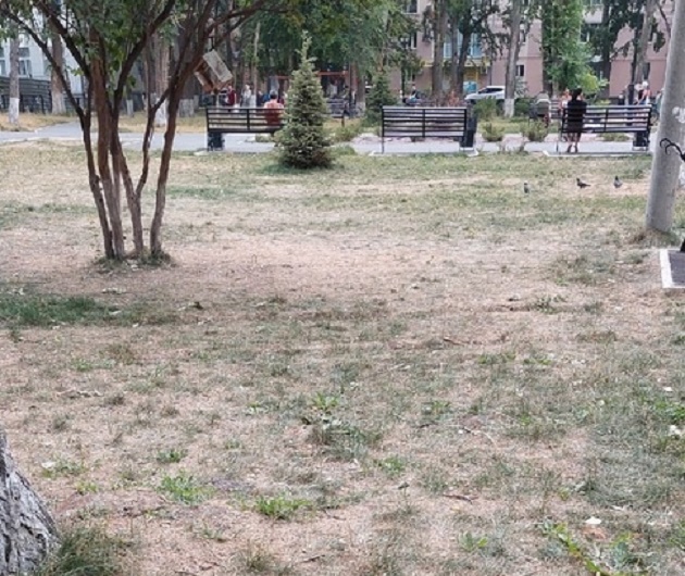 В Саратове без полива засыхает сквер