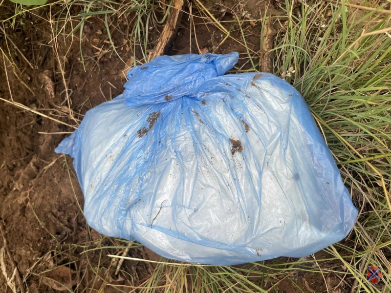 Жительница Саратовской области спрятала под Волгоградом 2 килограмма наркотиков