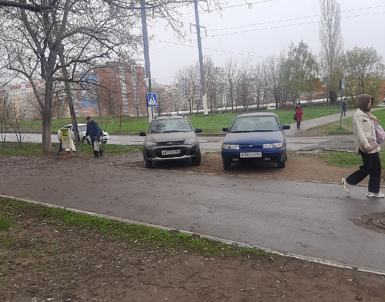 Автоинспекцию попросили провести рейд по автохамам на газонах в Саратове