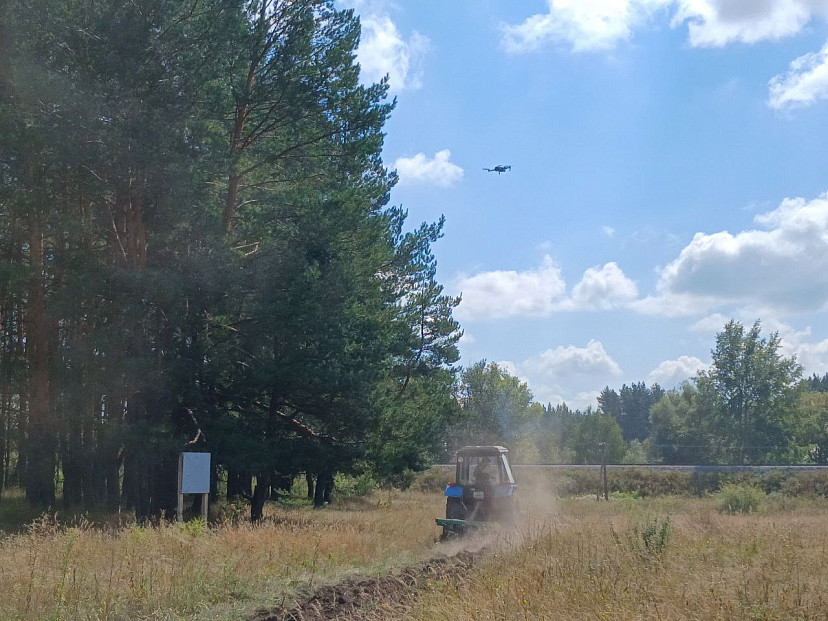 Саратовцам напомнили о миллионных штрафах за пожары в лесах