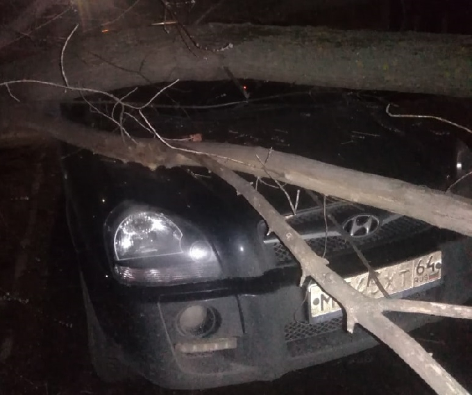 На Беговой дерево упало на внедорожник 