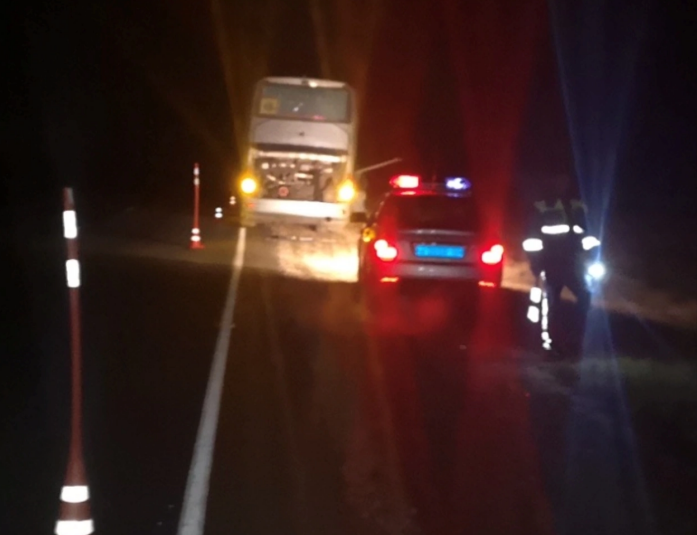 На трассе под Пензой автоинспекторы помогли школьникам из Саратова