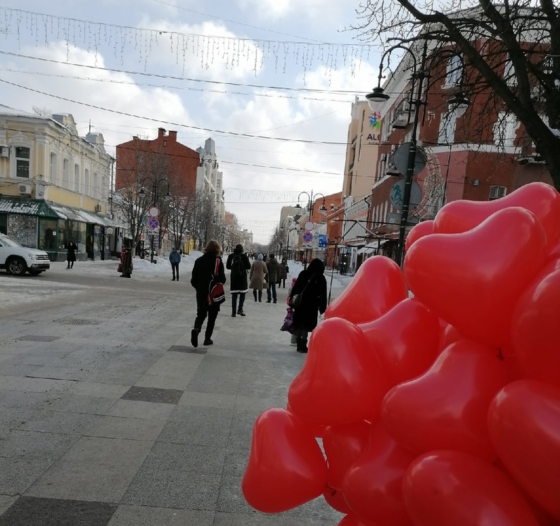 Сторонники Вячеслава Володина расспросили о любви к Саратову