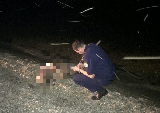 Водолазы достали из Волги тело женщины с перевернувшейся гулянки 