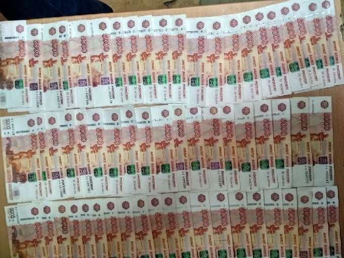 Саратовские полицейские задержали домушника с полумиллионом рублей в косметичке 