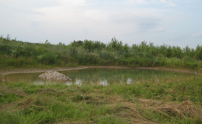 Водолазы обнаружили тело саратовца в яме пруда