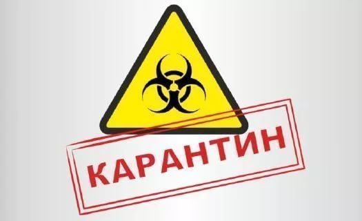 Саратовцы просят чиновников продлить карантин в школах