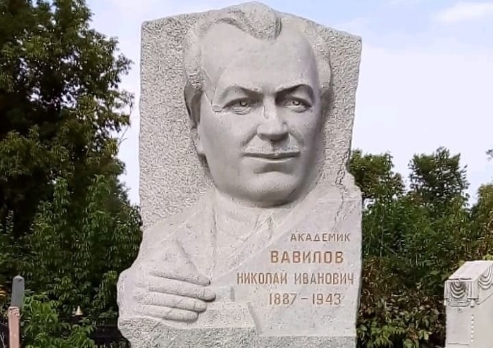Саратовцам на Воскресенском кладбище расскажут о выдающихся агрономах и селекционерах 
