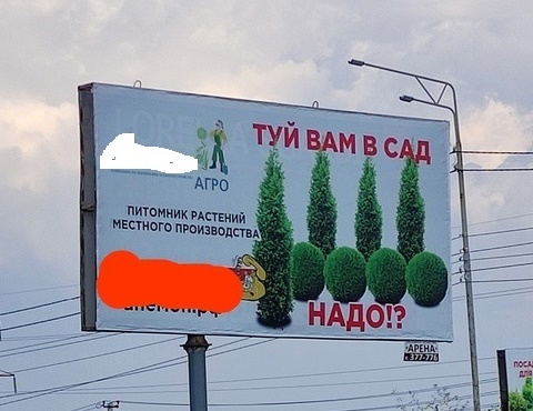 Саратовцы обсуждают двусмысленную рекламу туй