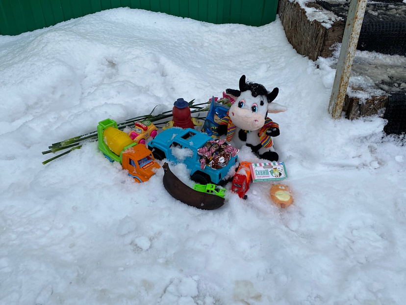 Мать замерзшего 5-летнего мальчика регулярно подвергалась побоям
