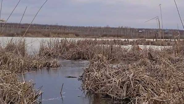 В Саратове спасатели достали из водоема утопленника