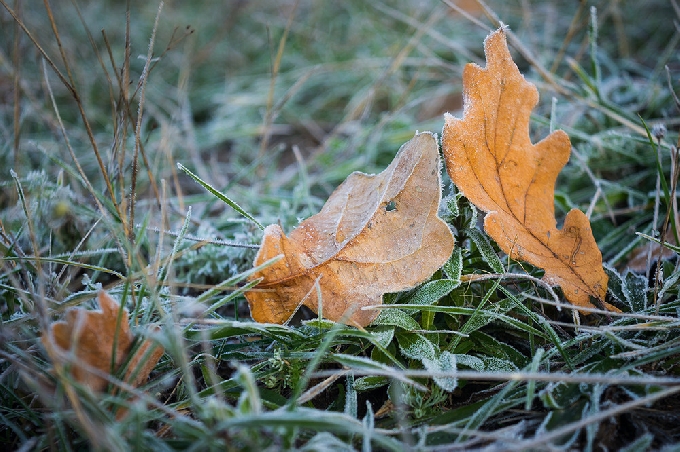 Температура воздуха в Саратовской области снизится до -6°C