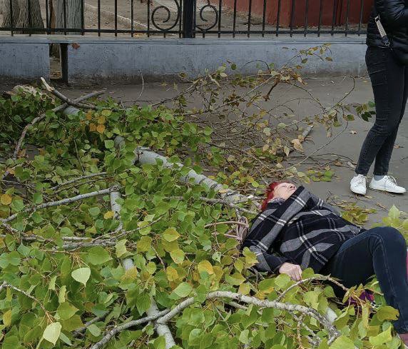 В Саратове на голову пенсионерки рухнула ветка дерева