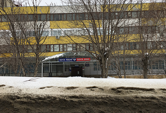 В почтовом отделении под Саратовом поселилась летучая мышь