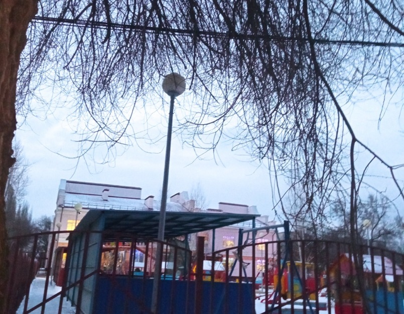 Саратовцы показали опасное дерево на пути к детскому саду 