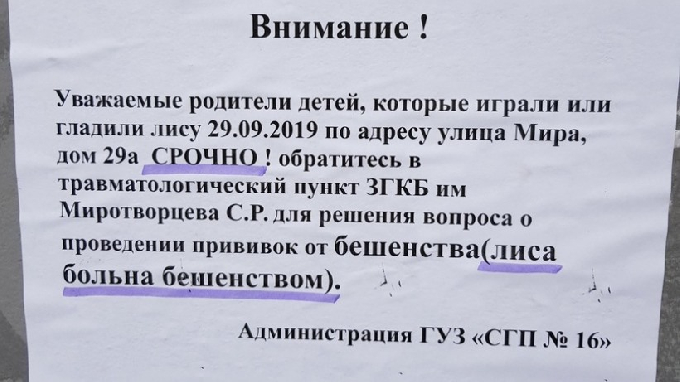В Саратове развлекавшихся с лисой детей ждут в больнице