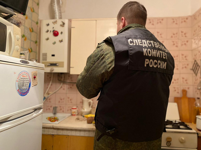 В Госжилинспекции назвали причину отравления детей газом в гостях у бабушки