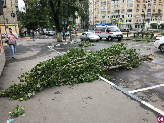 В Саратове сильный ветер валит деревья и срывает рекламные вывески