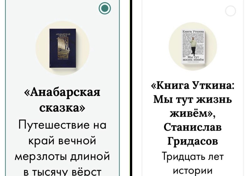 Книги саратовских авторов вошли в шорт-лист премии «Сноба»